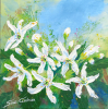 Houhere painting by Sue Graham